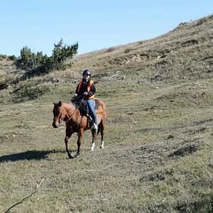 Meet your Posher, Amber
